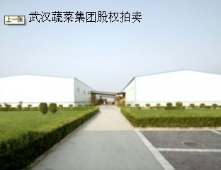 武汉蔬菜集团股权拍卖